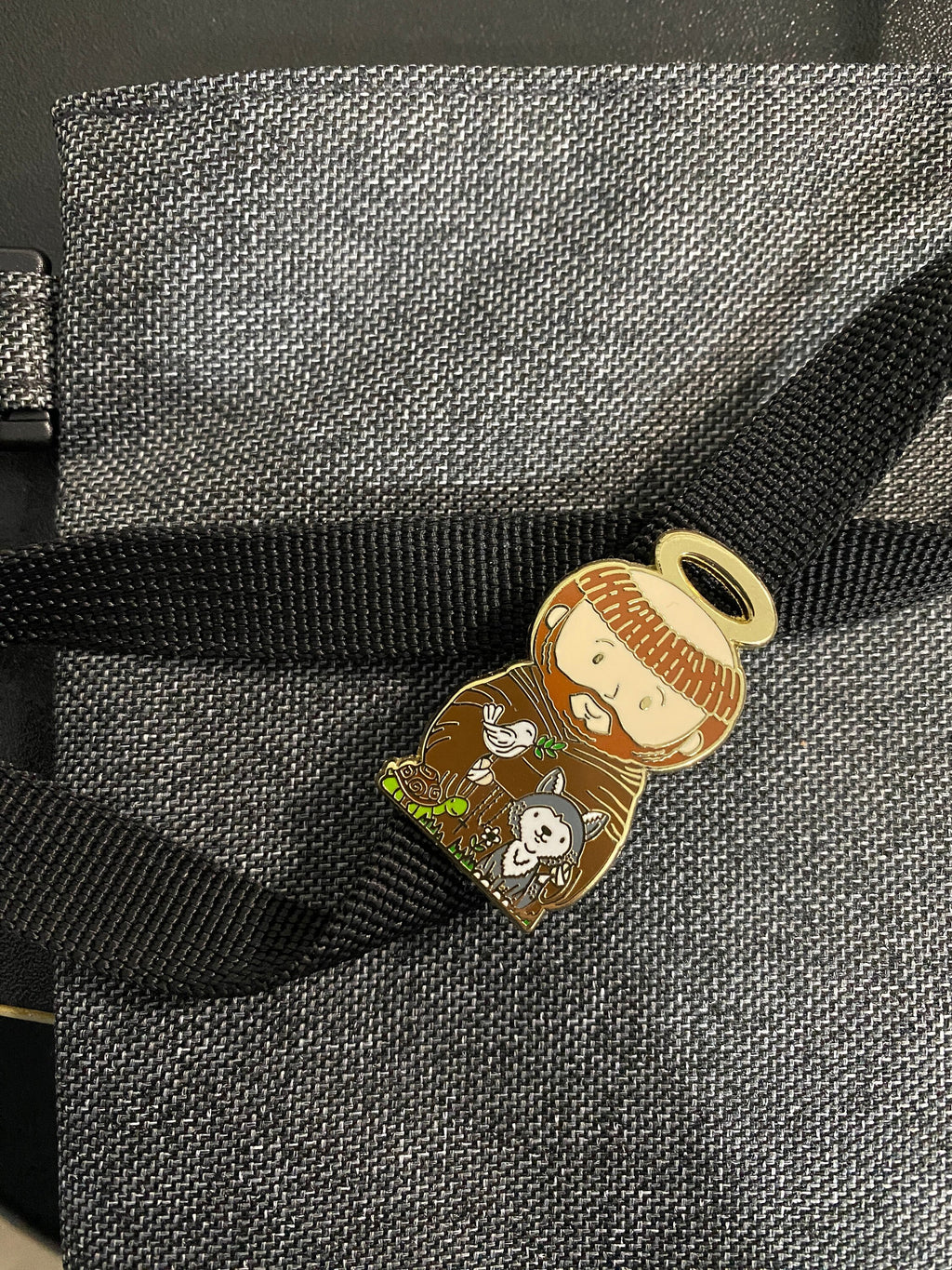 St. Francis of Assisi Pin
